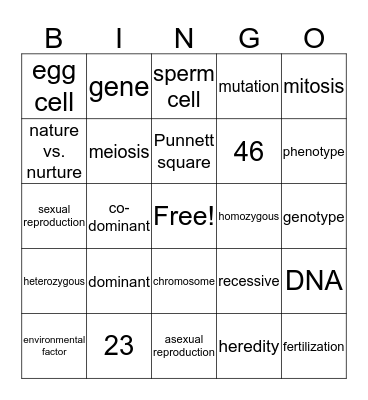 Reproduction Vocab Bingo Card