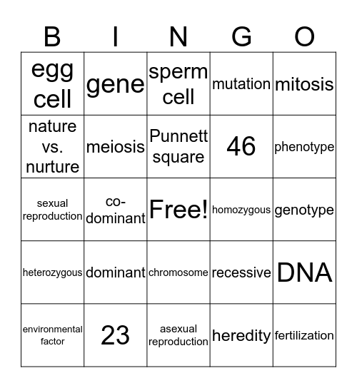 Reproduction Vocab Bingo Card