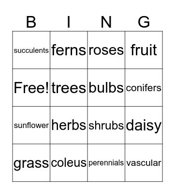 plants Bingo Card