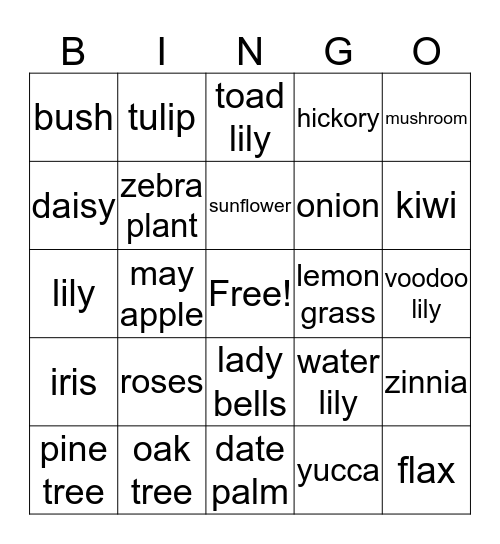 Plants Bingo Card