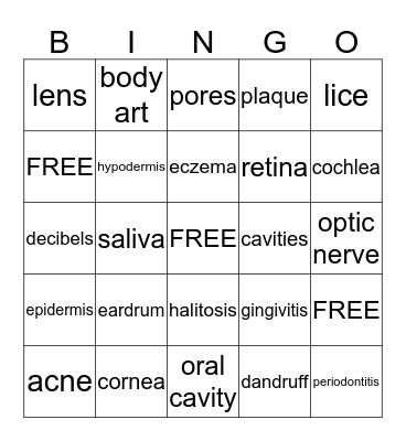 CHAPTER 8 VOCAB BINGO  Bingo Card