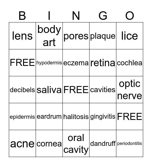 CHAPTER 8 VOCAB BINGO  Bingo Card