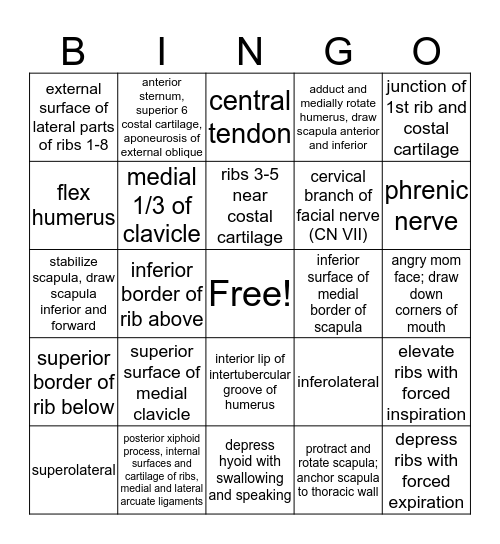 Muscles and Movements Bingo Card