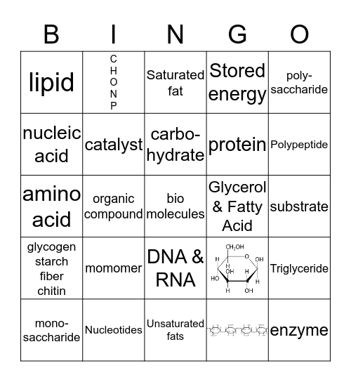 Organic, Macro or Bio Molecules Bingo Card