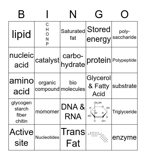 Organic, Macro or Bio Molecules Bingo Card