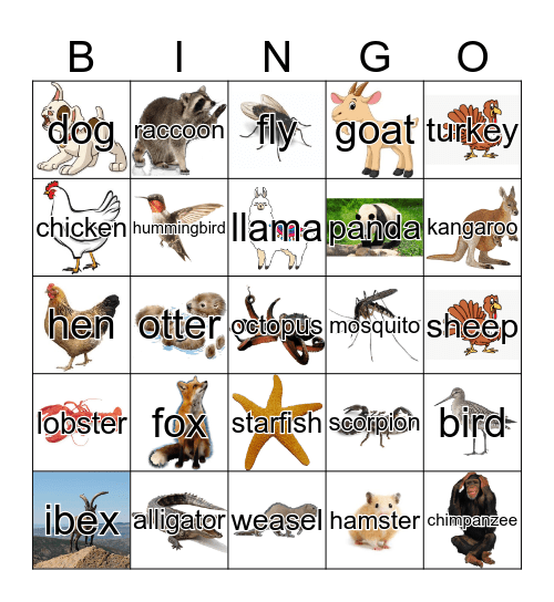 Animals Bingo Card