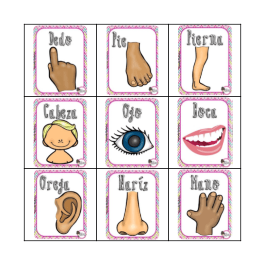 Partes del cuerpo Bingo Card