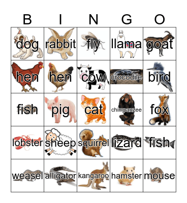 Animals Bingo Card