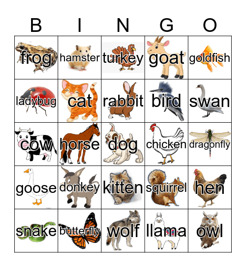 Animals Bingo Card