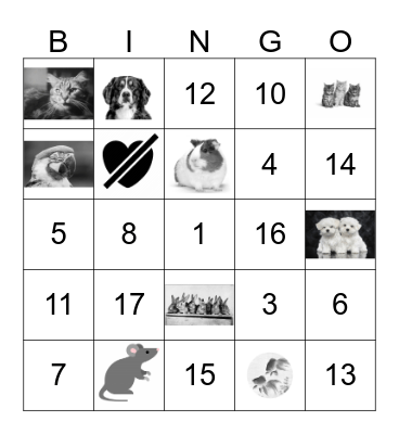 Pets and numbers Bingo Card