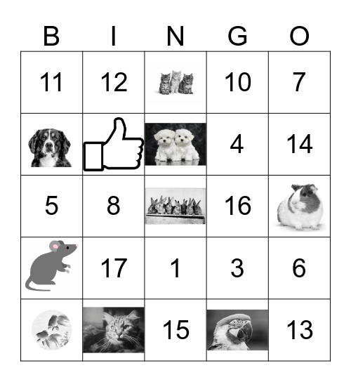 Pets and numbers Bingo Card