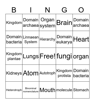 Hierarchy & Classifying Life Bingo Card