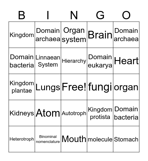 Hierarchy & Classifying Life Bingo Card