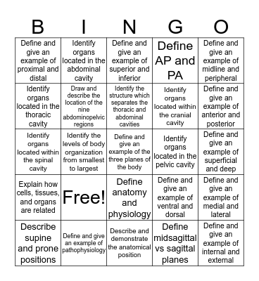 HBHD Unit 1.1 Bingo Card