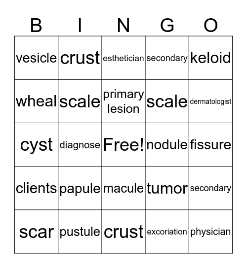 Skin Structure Bingo Card