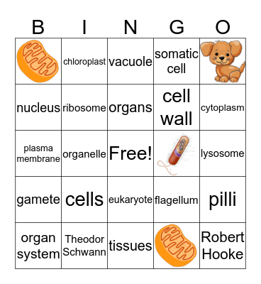 Cells and Organelles Bingo Card