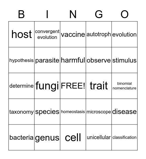 Science Bingo Card