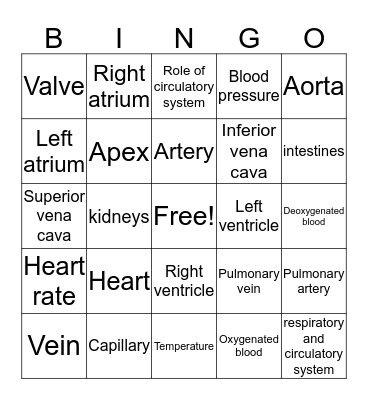 Circulatory System Review Bingo Card