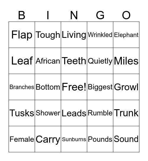 All About African Elephants  Bingo Card