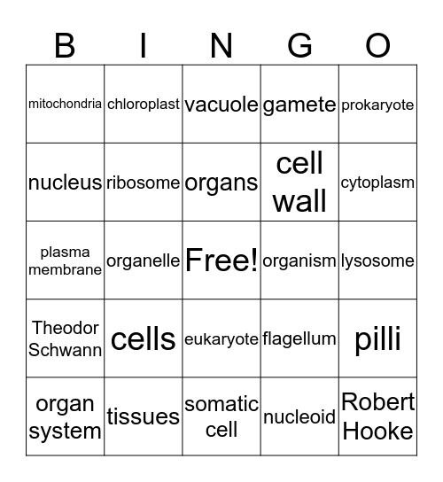 Cells and Organelles Bingo Card