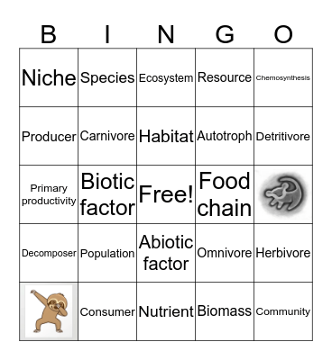 ECOLOGY BINGO Card