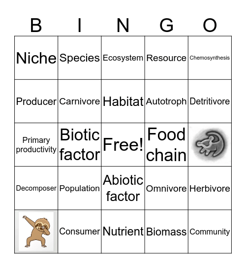 ECOLOGY BINGO Card