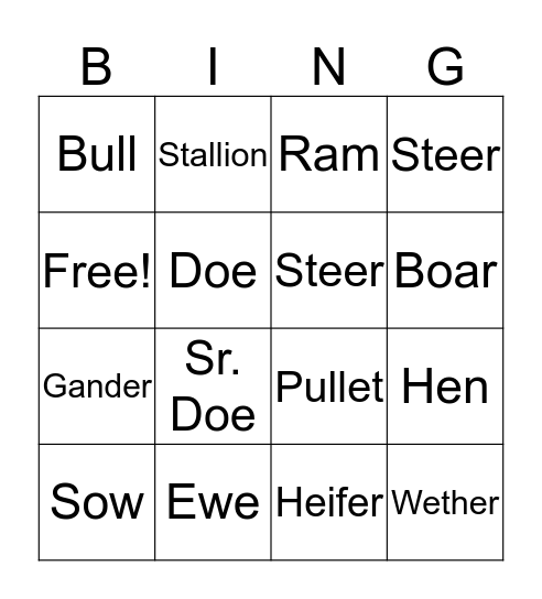Livestock Nomenclature  Bingo Card