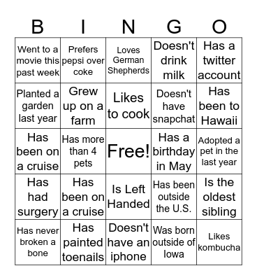 Icebreaker Bingo Card