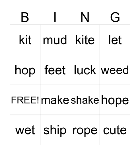 Short & Long Vowel Words Bingo Card