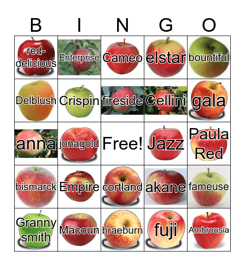 Johnny Appleseed  Bingo Card