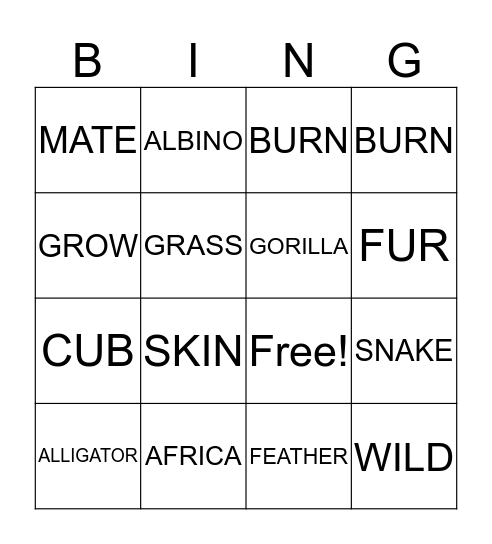 Same But Different Bingo Card