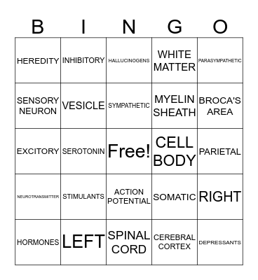 BIOLOGICAL INFLUENCES Bingo Card