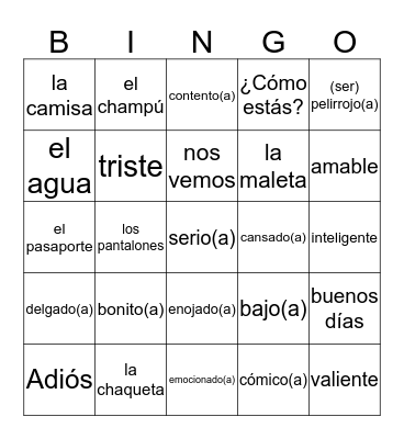 VOCABULARIO DEL LUNES Bingo Card