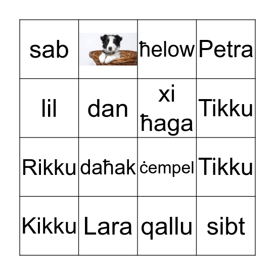 Tikku Bingo Card