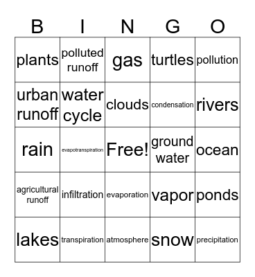water cycle bingo Card