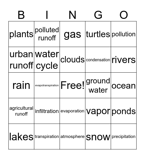 water cycle bingo Card