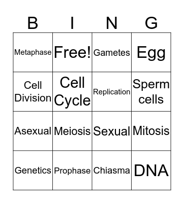 Mitosis vs Meiosis Bingo Card