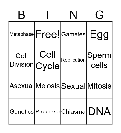 Mitosis vs Meiosis Bingo Card