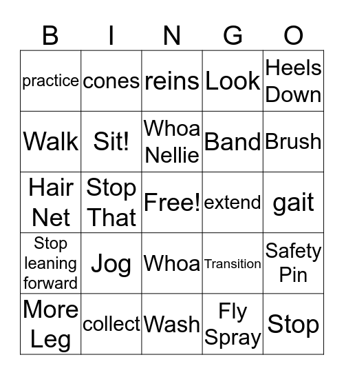 Trainers Lingo  Bingo Card