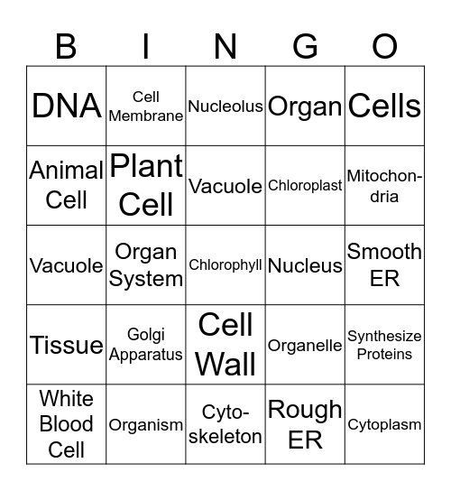 Cells / Organelles Bingo Card