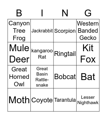 Jr Ranger BINGO Card