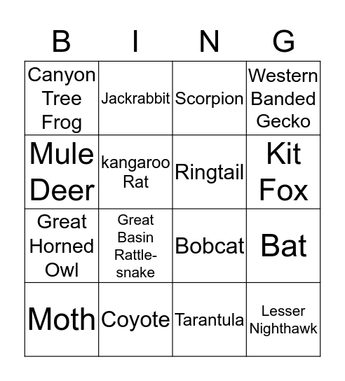 Jr Ranger BINGO Card