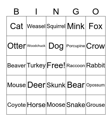 Animal Tracks Bingo Card