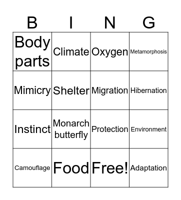 Animal Adaptations Bingo Card