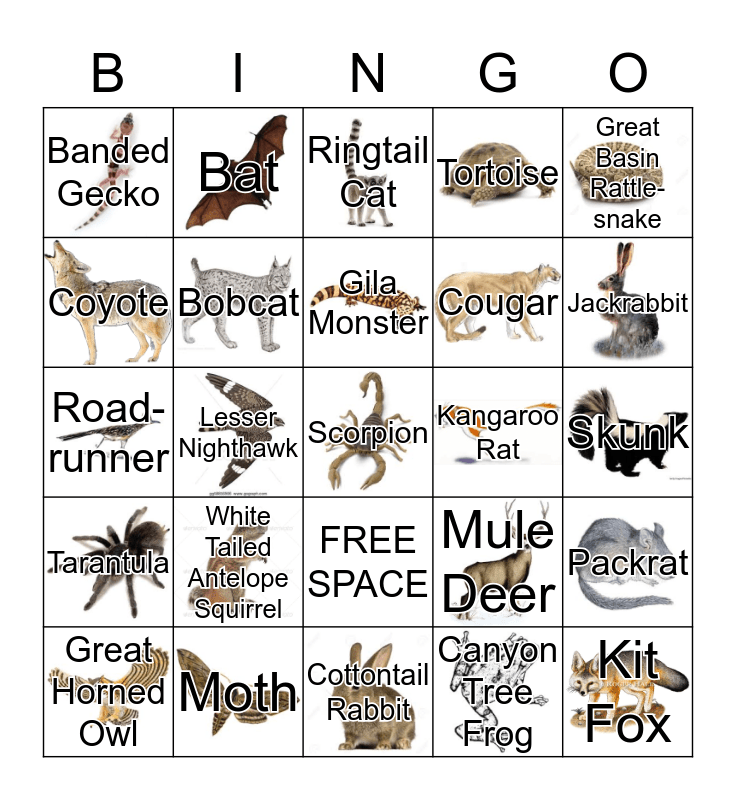 Jr Ranger BINGO Card