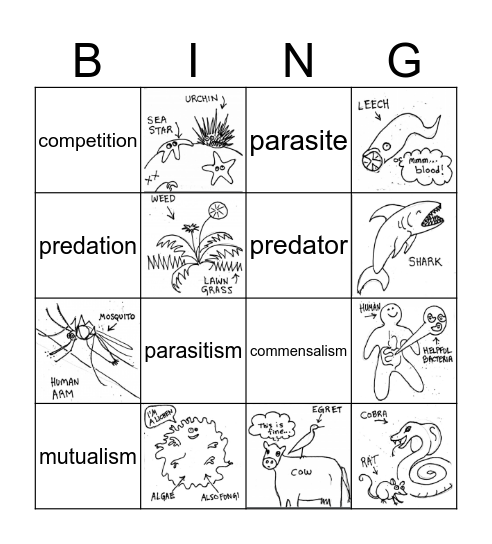 Ecological Interactions Bingo Card