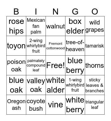 Tree and Shrub Bingo Card