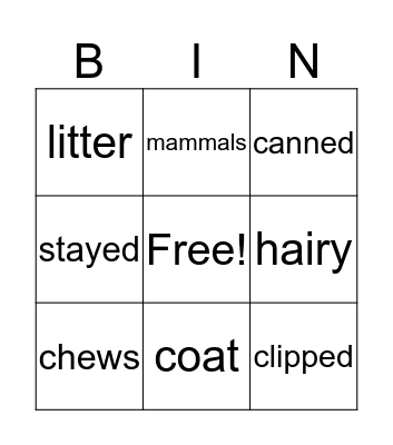 Vocabulary U1L3 Bingo Card