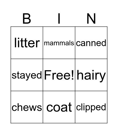 Vocabulary U1L3 Bingo Card