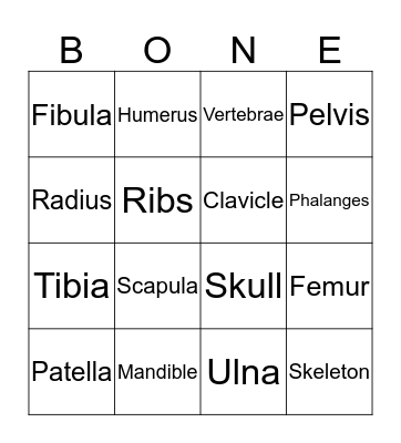 Skeletal System Bingo Card